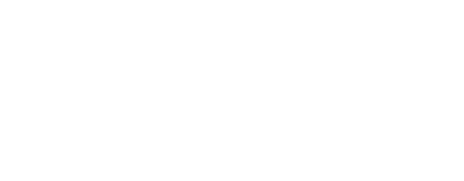 BRANCO-asas-para-voar